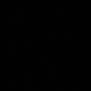 Meet your Posher, Addison